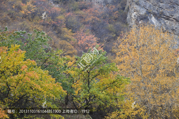 山野