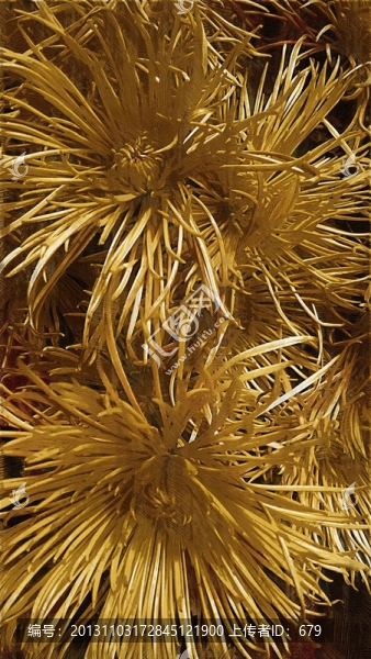 油畫(huà),,菊花