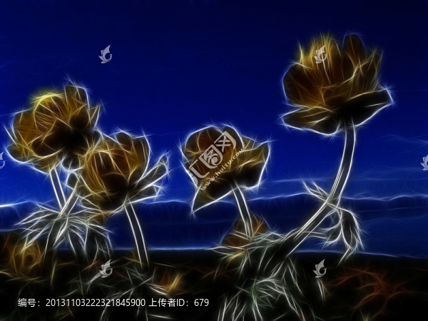 裝飾畫,,花兒