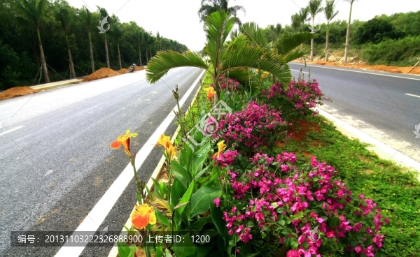 道路景觀