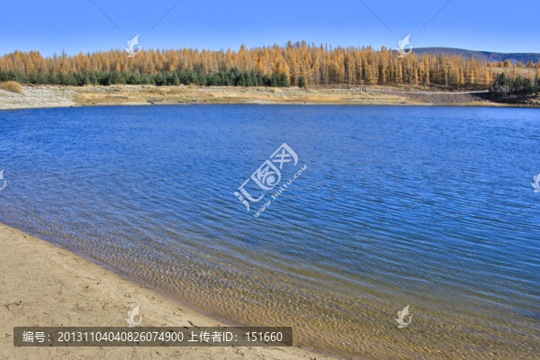 內(nèi)蒙黃崗梁森林沙地云杉