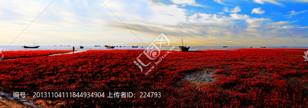 海岸紅地毯