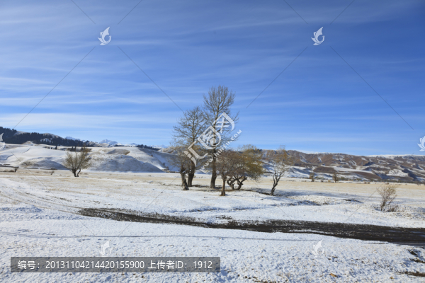 雪原