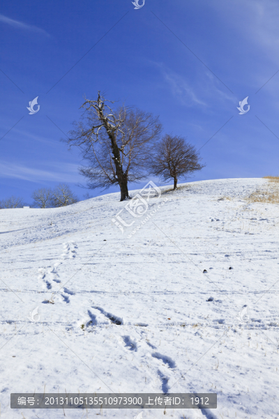 雪山