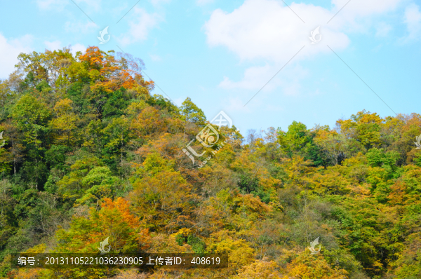 青杠紅葉林