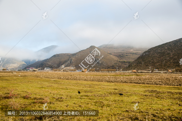 香格里拉草原秋色