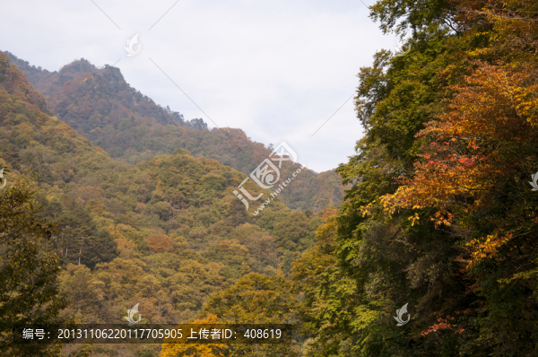 巴中南江縣光霧山大小蘭溝紅葉