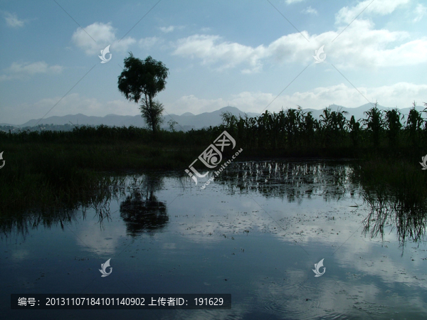 水邊的數(shù)