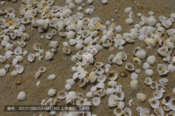 海邊