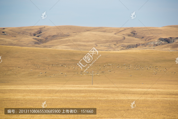 內(nèi)蒙錫林浩特草原秋色
