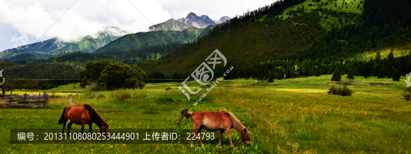 魯朗風光