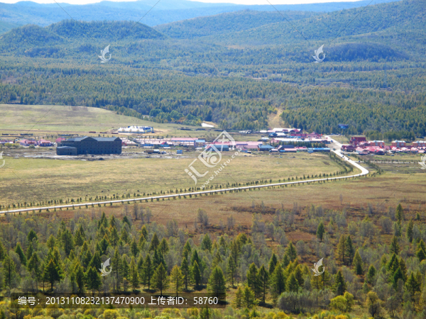 阿爾山天池林場