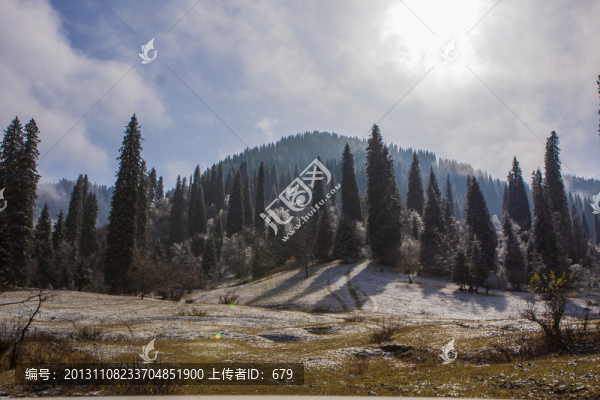 伊犁美景