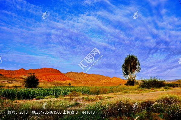 田園美景