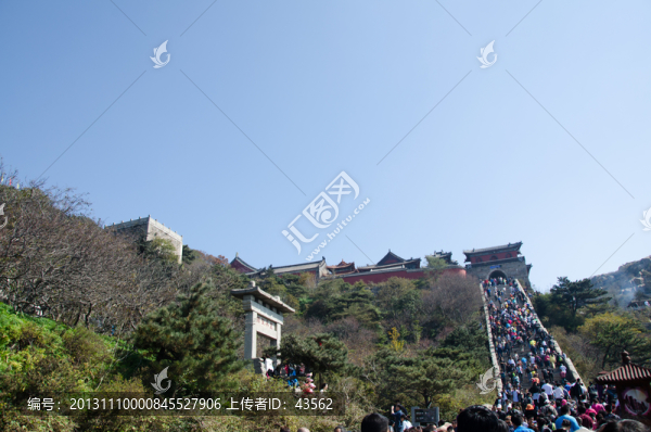 泰山