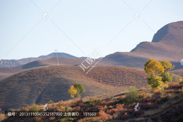 內(nèi)蒙赤峰黃崗梁森林秋色