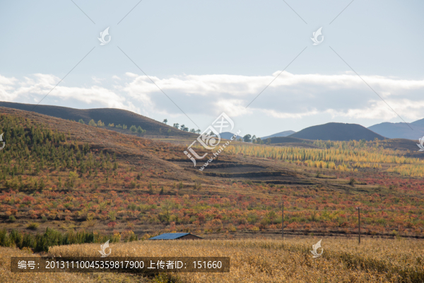 內(nèi)蒙赤峰黃崗梁森林秋色