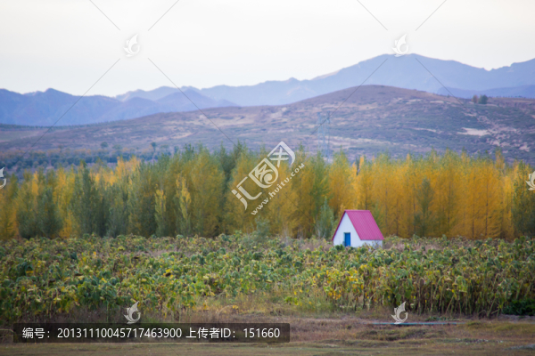內(nèi)蒙赤峰田野秋色