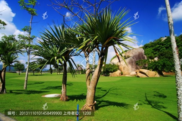 高爾夫球場(chǎng)
