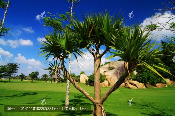 高爾夫球場(chǎng)