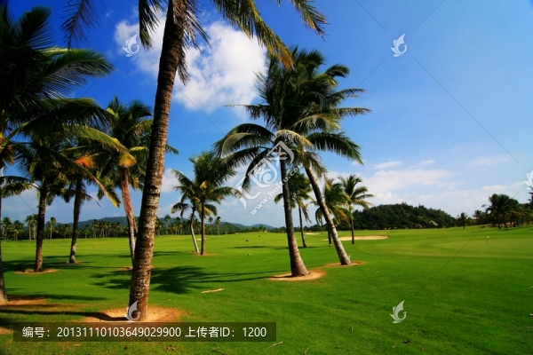 高爾夫球場