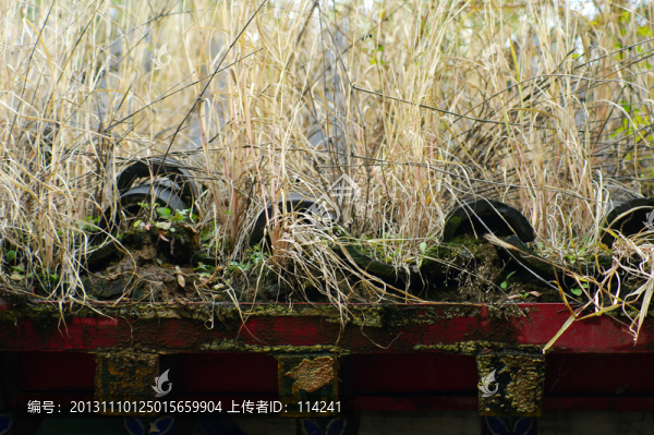 古建筑瓦當(dāng)