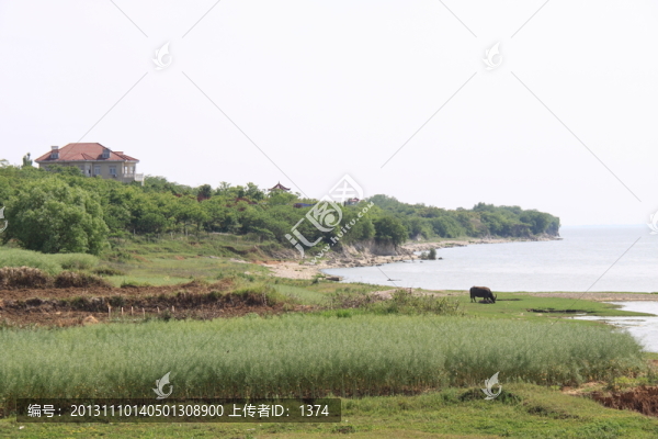 巢湖風(fēng)光