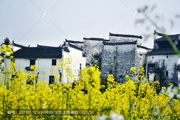 婺源風(fēng)光