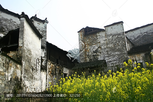 徽派建筑油菜花
