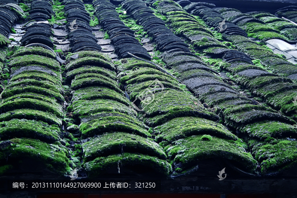 房上青苔