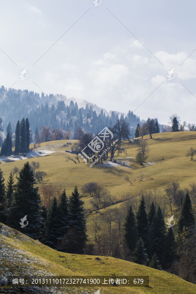 秋景