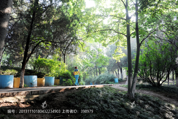 公園早晨