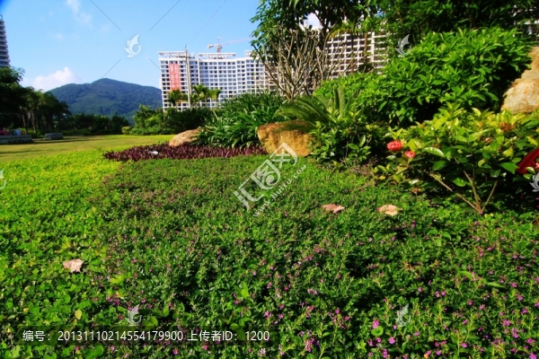 地產(chǎn)