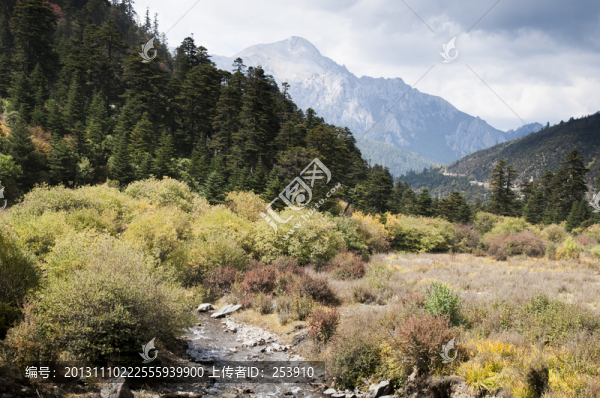 山野間