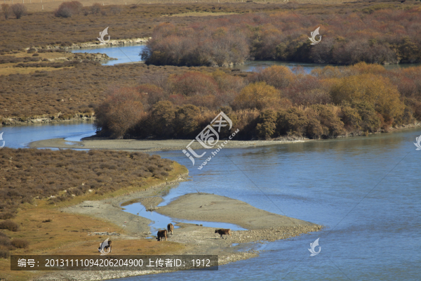 特克斯河