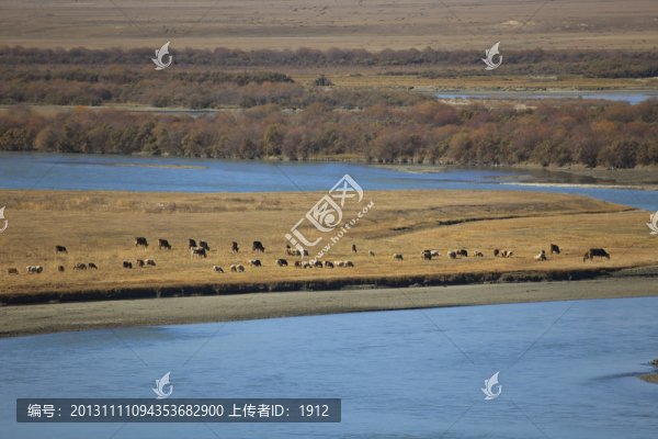 特克斯河