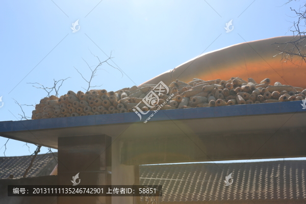 屋頂曬玉米