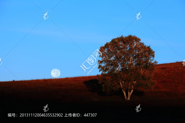朝陽映月