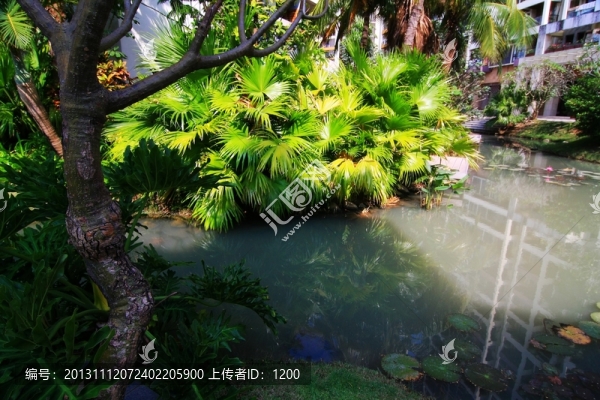 園林景觀