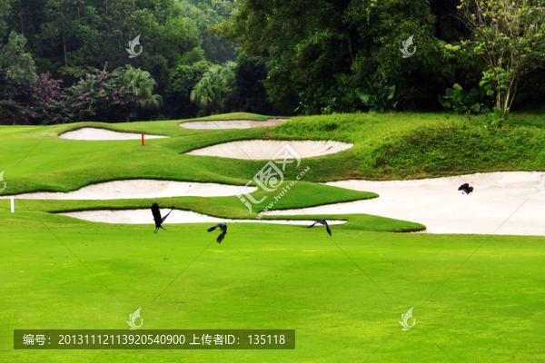 觀瀾湖高爾夫球場(chǎng)