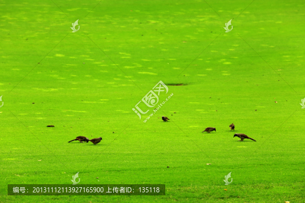 觀瀾湖高爾夫球場