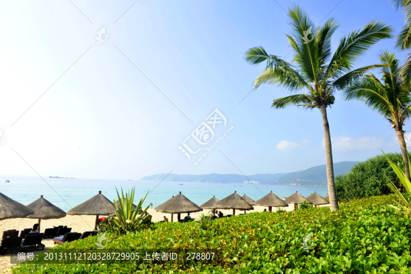 椰樹,海風(fēng),三亞