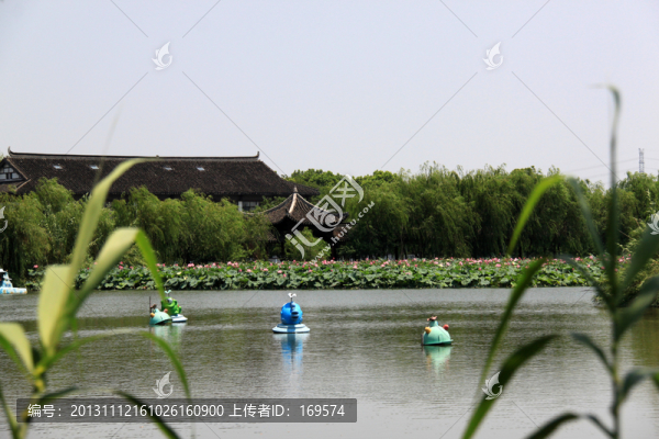 沙家浜蘆葦蕩