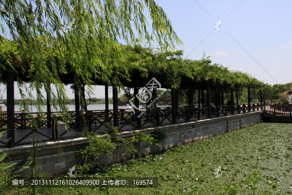 沙家浜蘆葦蕩