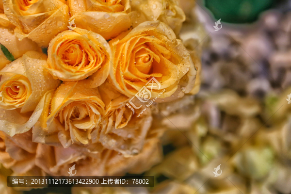 玫瑰花
