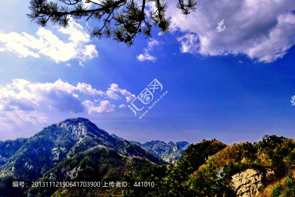 老界嶺風(fēng)光
