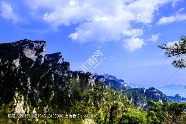 老界嶺風(fēng)光