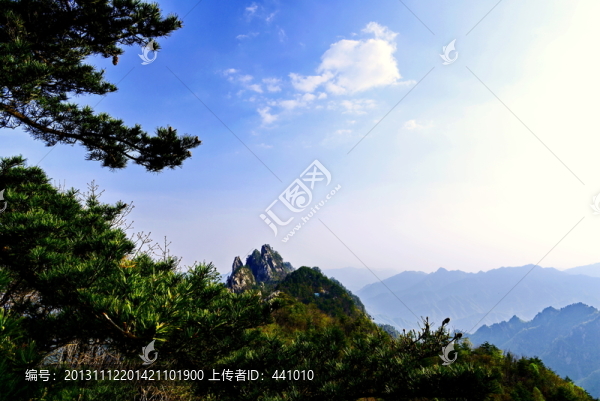 老界嶺風(fēng)光