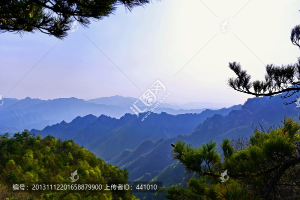 老界嶺風(fēng)光