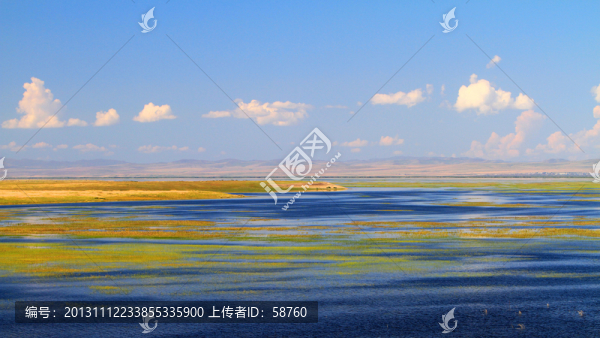 濕地湖泊